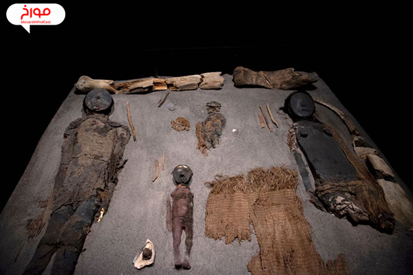 مومیایی های چینچورو در موزه باستان شناسی سن میگل د آزاپا در کامارونس، آریکا، شیلی.